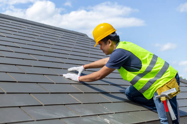Best Asphalt Shingle Roofing  in Burton, MI