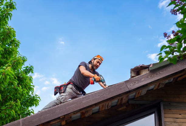 Best Rubber Roofing (EPDM, TPO)  in Burton, MI