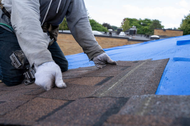 Best Roof Leak Repair  in Burton, MI