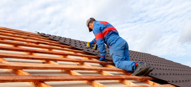 Best Roof Maintenance and Cleaning  in Burton, MI
